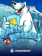 Arctic Wonders
