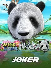 wild-giant-panda